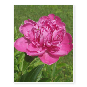 Carnation Flower Temporary Tattoos