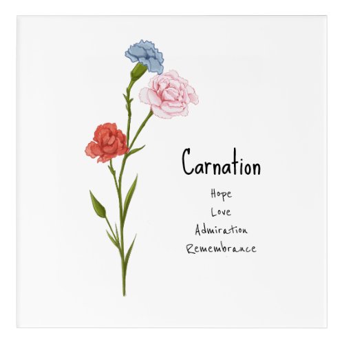 Carnation January Birth Flower Watercolor Art