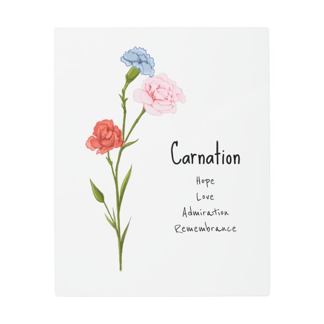 Carnation January Birth Flower Watercolor Art (Front)