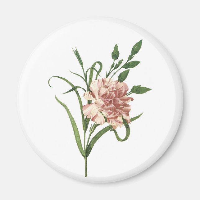 Carnation Magnet (Front)