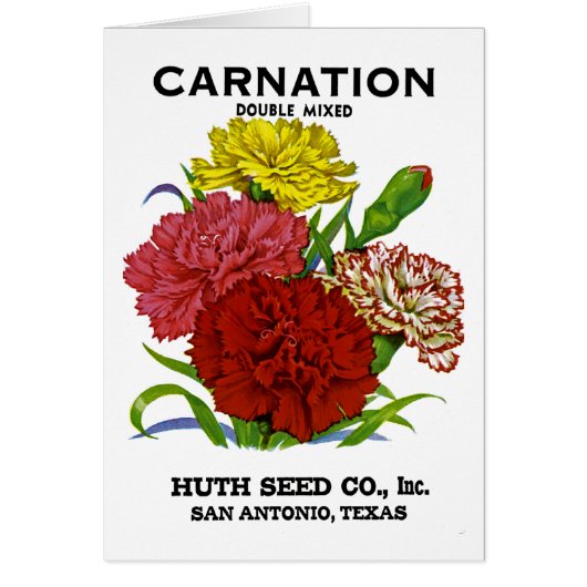 Carnation Vintage Seed Packet Cards (Front)