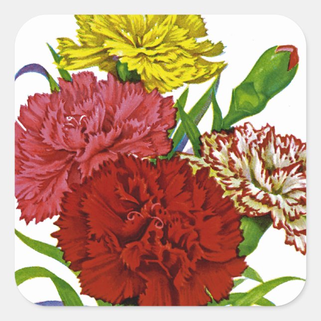 Carnation Vintage Seed Packet Square Sticker (Front)