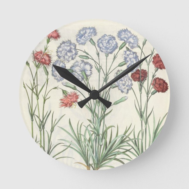 Carnations: 1.Caryophyllus multiplex flore albo; 2 Round Clock (Front)