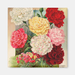 Carnations Seed Packet Magnet