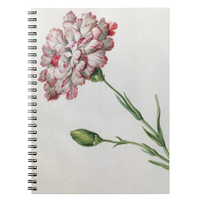 Carnations (w/c on paper) notebook (Front)