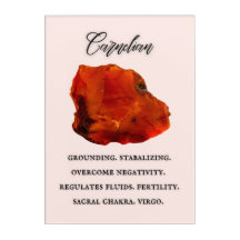 Carnelian Crystal Information Wall Decor