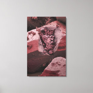 Carnitine Canvas Print