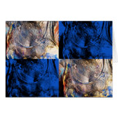 carnival chest (Front Horizontal)