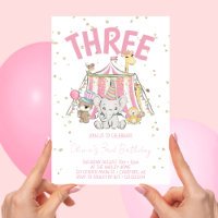 Carnival Circus Pink 3rd Birthday