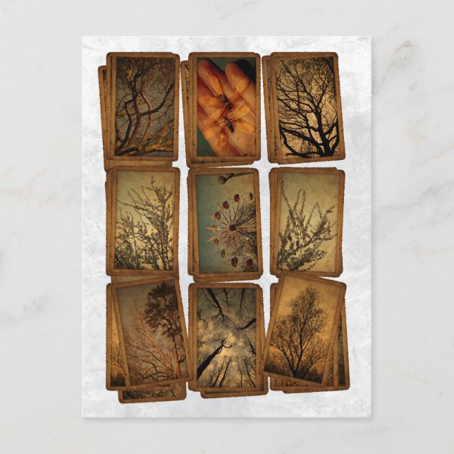 Carnival, Dragonflies, Trees Postcard (Front)