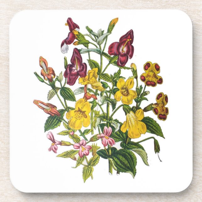 Carnival of flowers beverage coaster (Front)