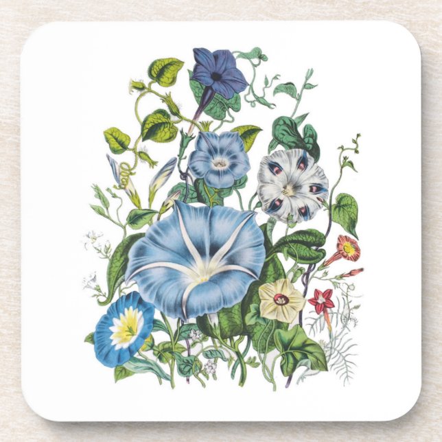 Carnival of flowers beverage coaster (Front)