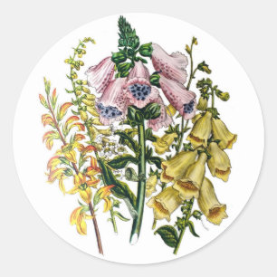 Carnival of flowers classic round sticker