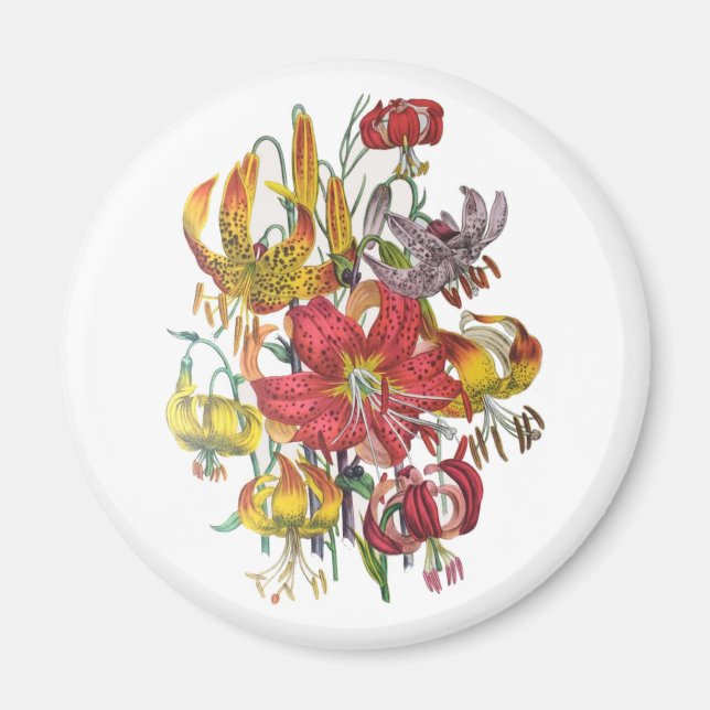 Carnival of flowers magnet (Front)