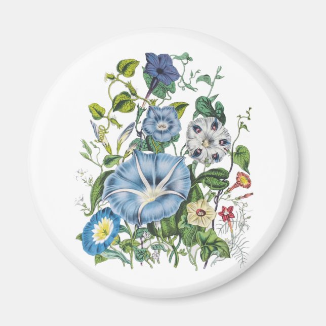 Carnival of flowers magnet (Front)