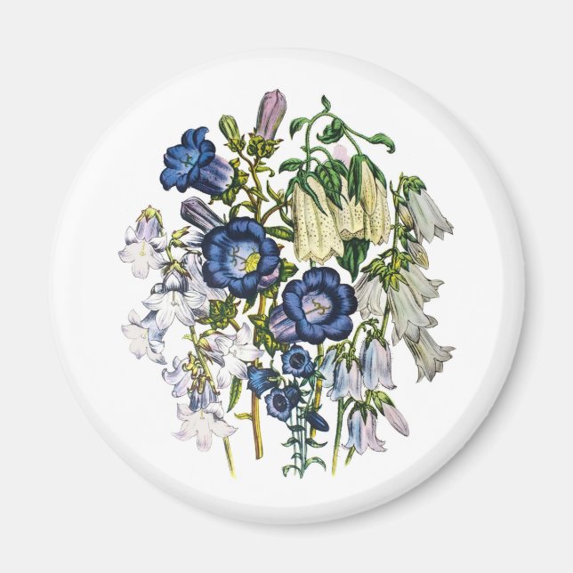 Carnival of flowers magnet (Front)