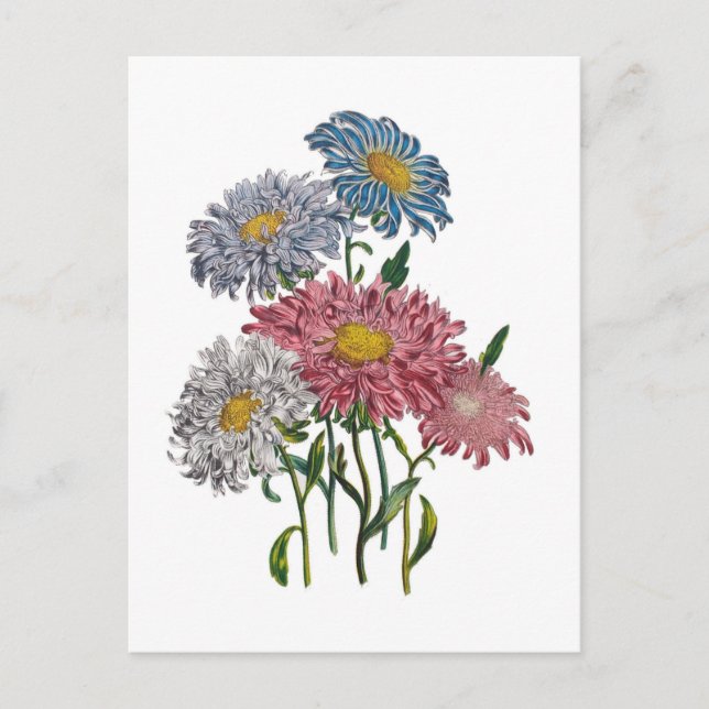 Carnival of flowers postcard (Front)