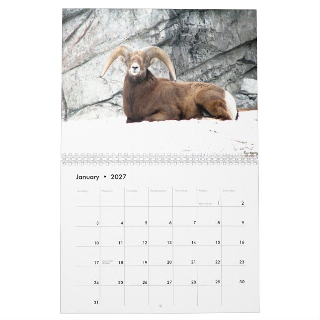 Carnival of the Animals 2010 Calendar (Jan 2027)