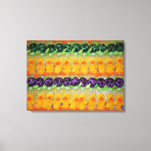 Carnival Pick-a-Prize Plush Toy Photo Canvas