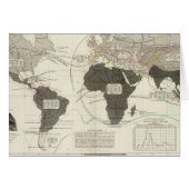 Carnivora (Front Horizontal)