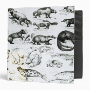 Carnivorous Animals 3 Ring Binder