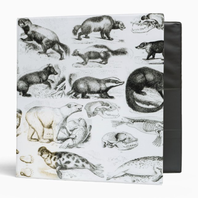 Carnivorous Animals 3 Ring Binder (Front/Inside)
