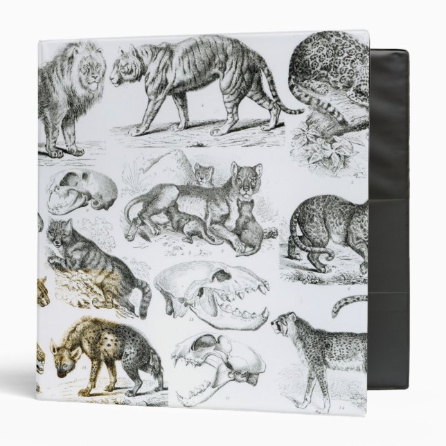 Carnivorous Animals Binder (Front/Inside)