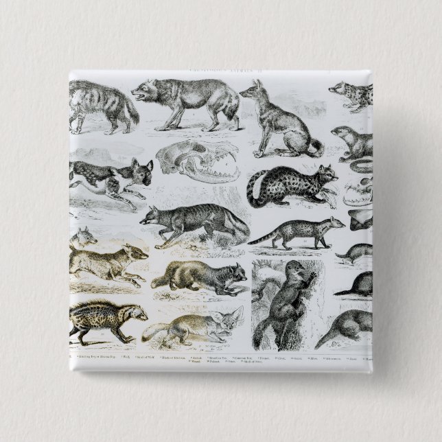 Carnivorous Animals Button (Front)