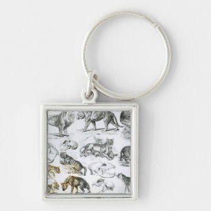 Carnivorous Animals Keychain