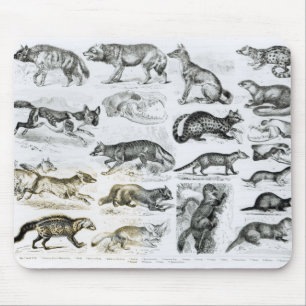 Carnivorous Animals Mouse Pad
