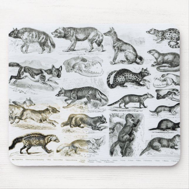 Carnivorous Animals Mouse Pad (Front)