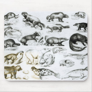 Carnivorous Animals Mouse Pad