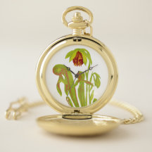 Carnivorous Cobra Pitcher Plant Botanical Art