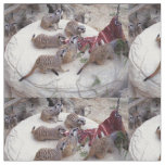 Carnivorous Meerkats, Fabric
