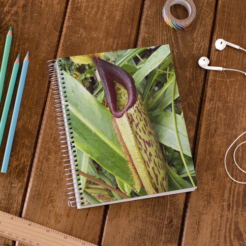 Carnivorous Pitcher Plant Botanical Notebook