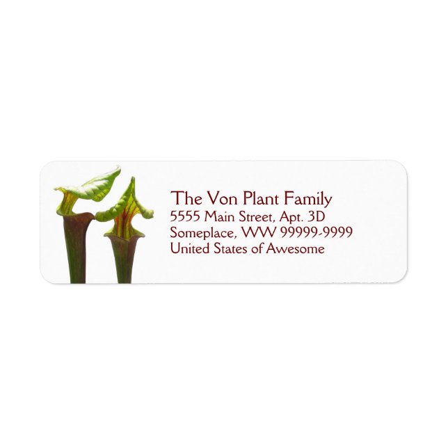 Carnivorous Pitcher Plants Label (Front)