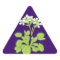 Carnivorous Plant Floral Stickers