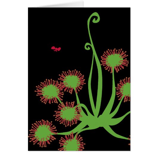 Carnivorous Sundew Plant Cards (Front)