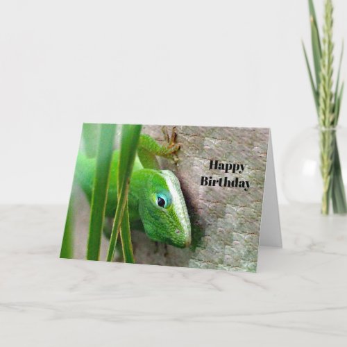 Carolina Anole Green Lizard Photo  Birthday Card