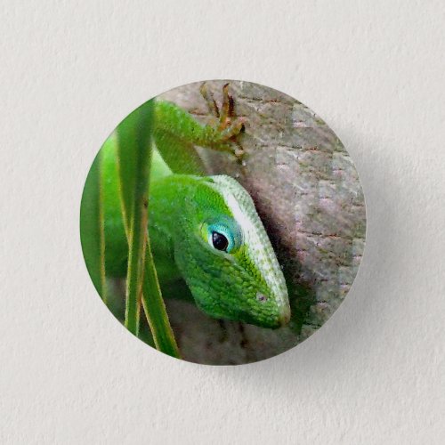 Carolina Anole Green Lizard Photo Button