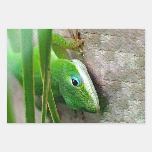 Carolina Anole Green Lizard Photo Wrapping Paper Sheets