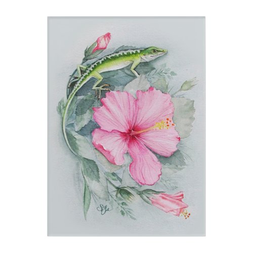 Carolina Anole  Hibiscus  Acrylic Print
