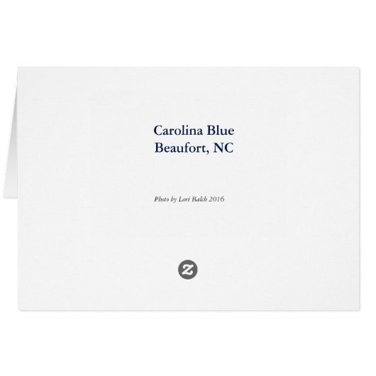 Carolina Blue (Back Horizontal)