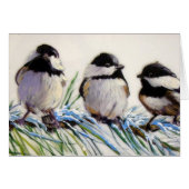 Carolina chickadee birds (Front Horizontal)