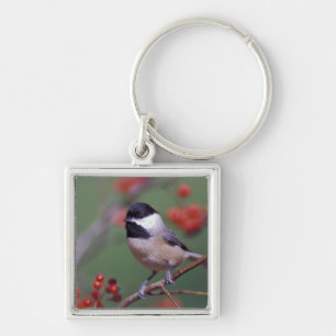 Carolina Chickadee Keychain