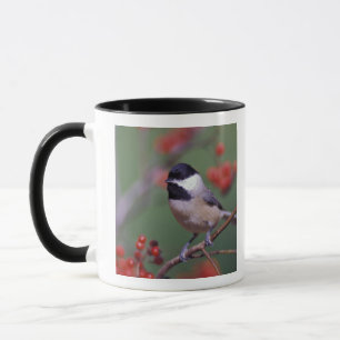 Carolina Chickadee Mug