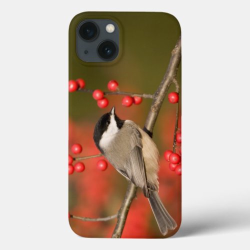 Carolina Chickadee on Common Winterberry bush iPhone 13 Case