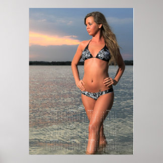 Carolina Coastal Beauties: 2013 Calendar Poster E