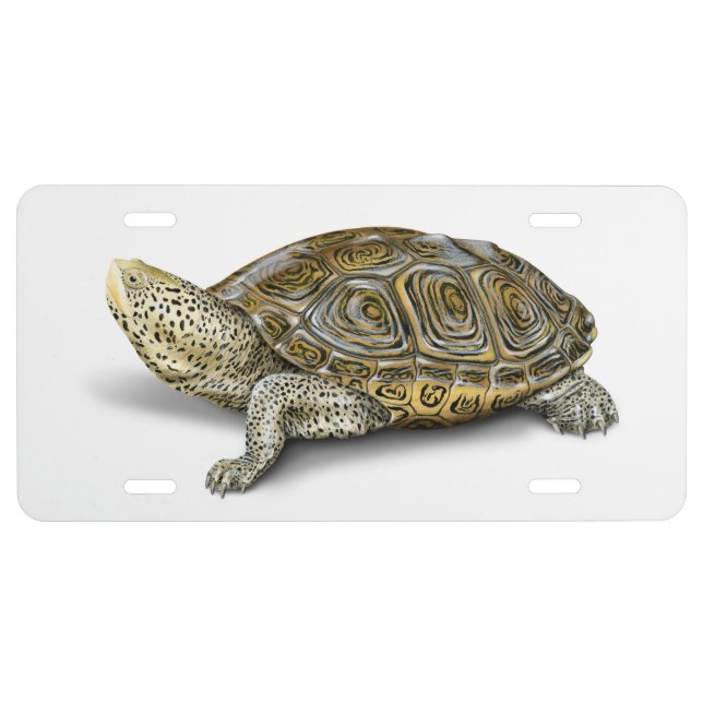 Carolina Diamondback Terrapin License Plate (Front)