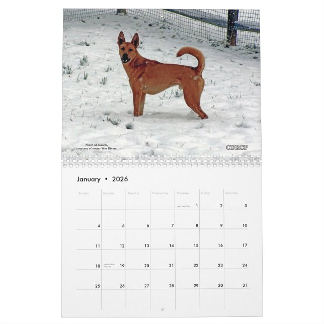 Carolina Dog Calendar 2013 (Jan 2026)